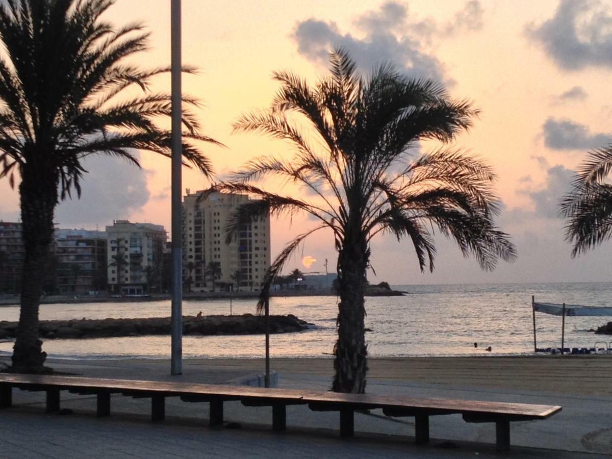 Lägenhet Studio på 23 m² i Torrevieja med 1 badrum  Exteriör bild